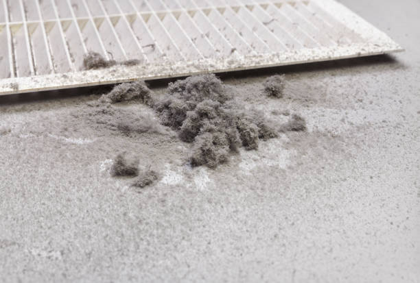 Best Air Duct Sanitizing Services  in Nevada, TX