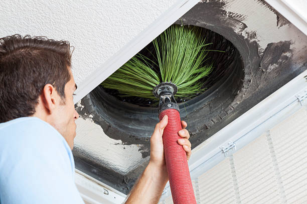 Best Ductwork Cleaning Services  in Nevada, TX
